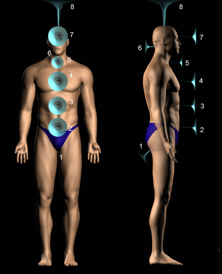 Die 8 mentalen Chakren des Menschen
