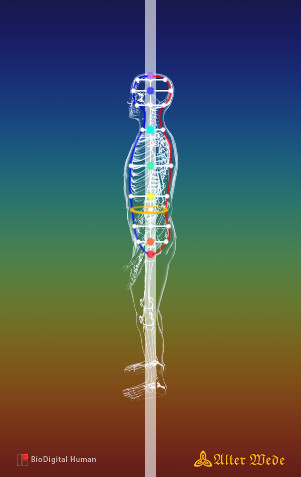 ZK Chakren Mikrokosmischer Orbit