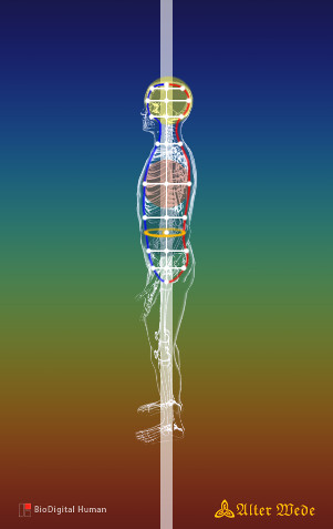 ZK Dan Tian Mikrokosmischer Orbit