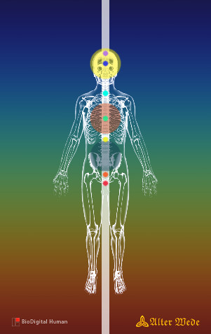 ZK-Chakren-DanTian von vorne